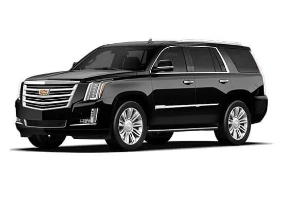 Bay Area Limousine Fleet